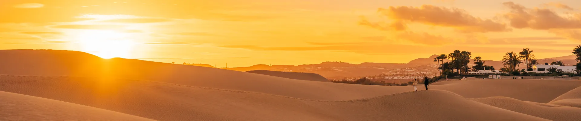 Why Betterview Tourism is the Best Choice for Your Dubai Desert Safari Adventure